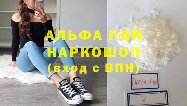 прущий лед Алзамай