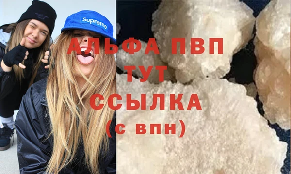 прущий лед Алзамай