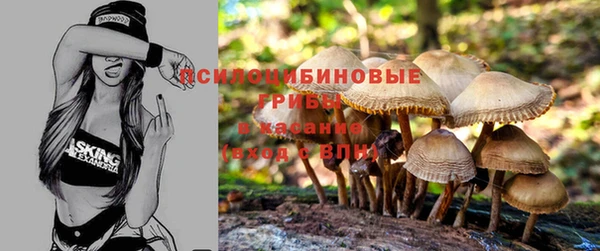 прущий лед Алзамай