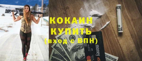 прущий лед Алзамай